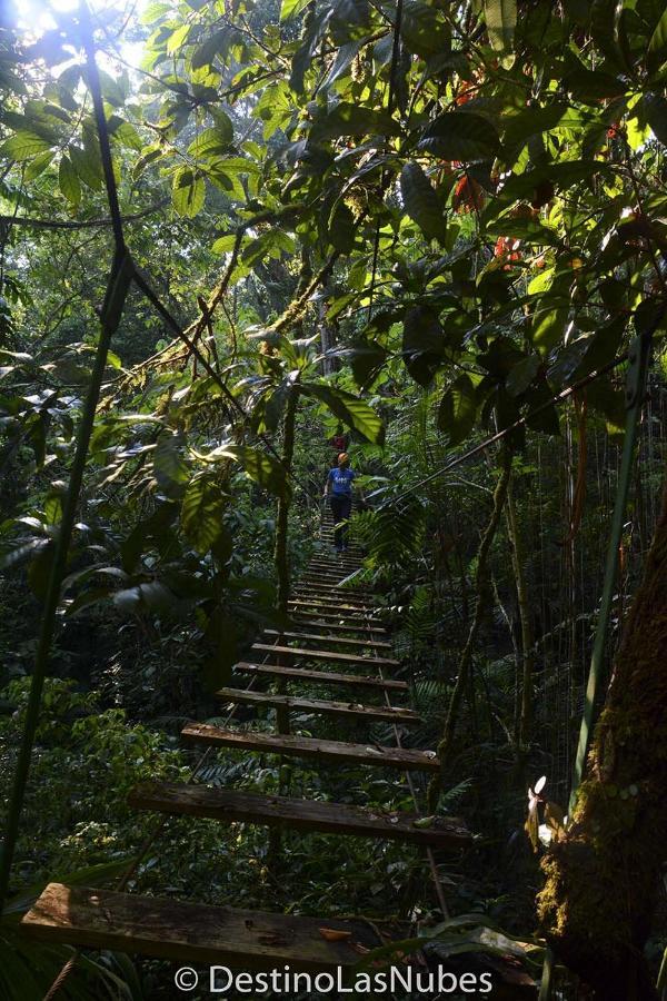 Ciudad De Las Rocas La Fortuna Gallo Giro Exteriör bild