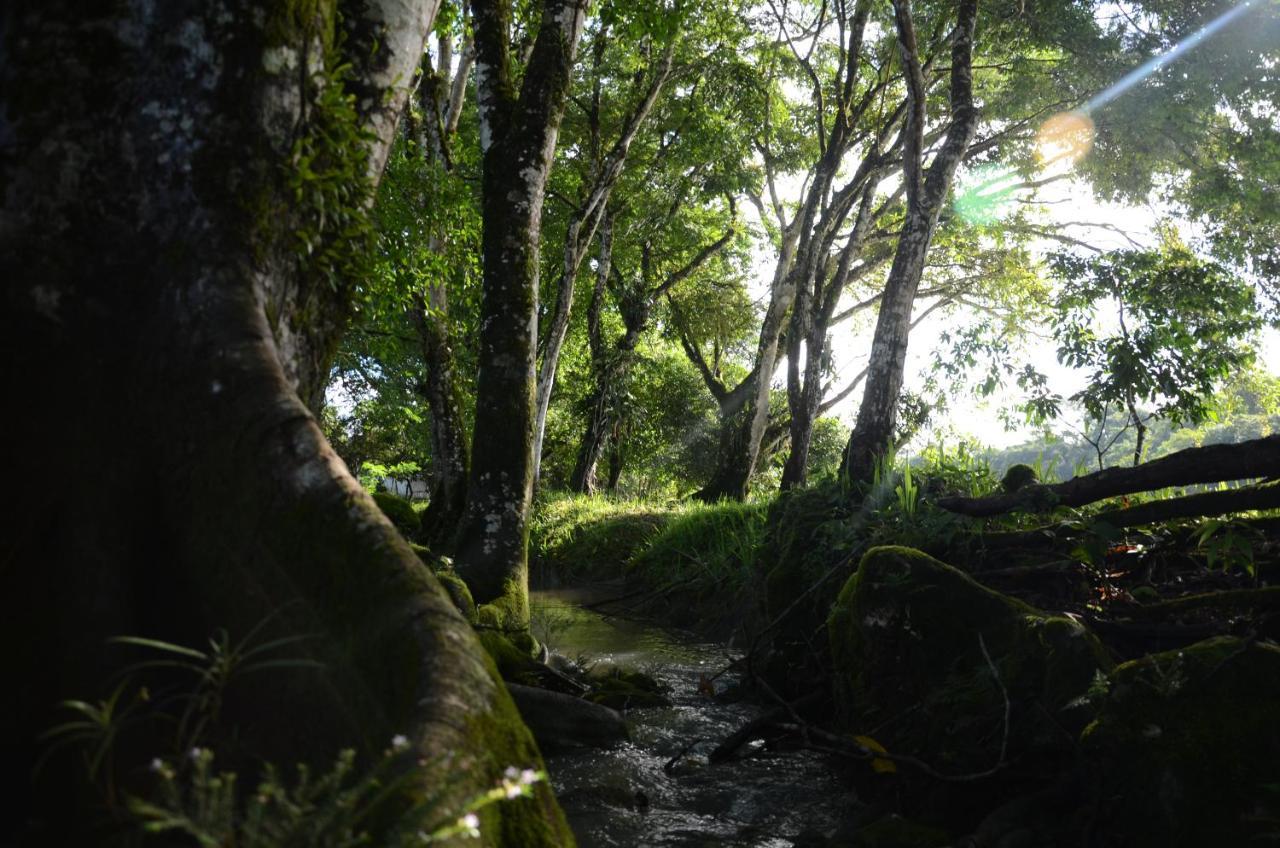 Ciudad De Las Rocas La Fortuna Gallo Giro Exteriör bild